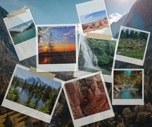 Gabby Petito: Key Witnesses and Suspects