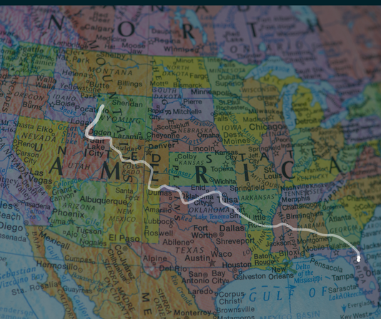 Gabby Petito: Theories and Evidence