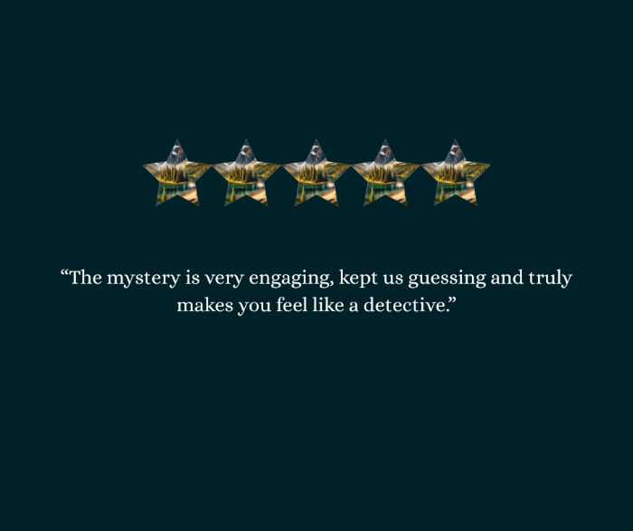 Five gold stars on a dark background with a review about My Sleuthing Addiction's Murder Mystery Box 