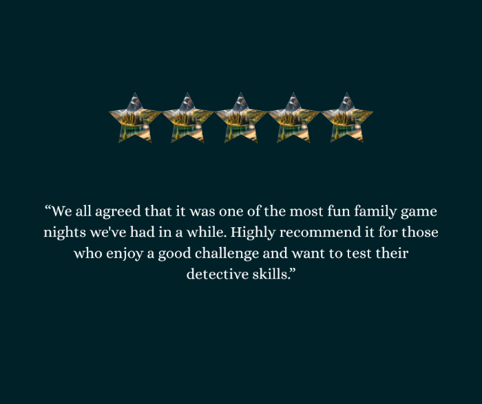Five gold stars on a dark background with a review of My Sleuthing Addiction's murder mystery box.