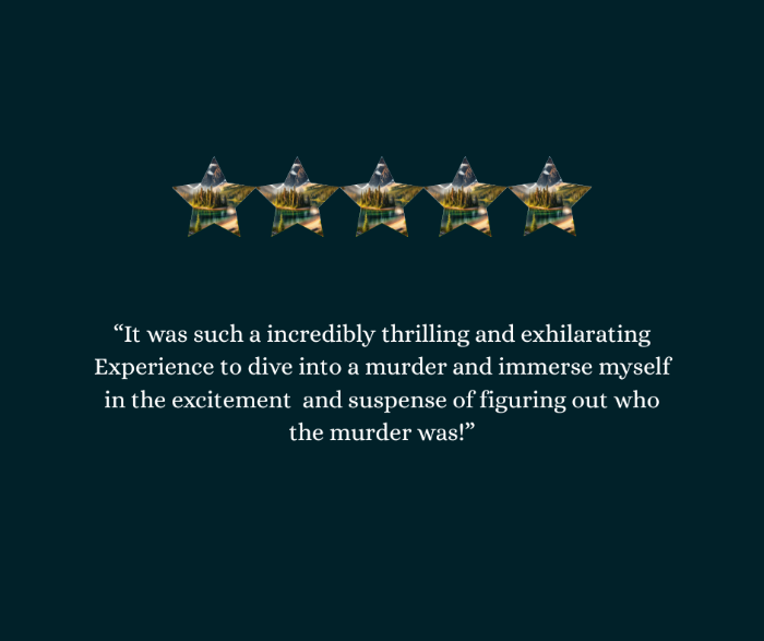 Five gold stars on a dark background with a review of My Sleuthing Addiction's Murder Mystery Box.